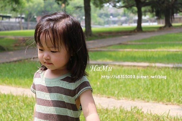 photo03.jpg