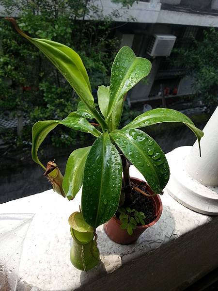 20160320_104422