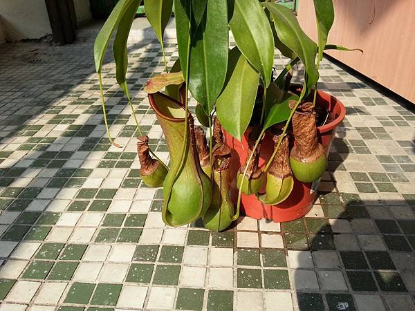 20170507_153422