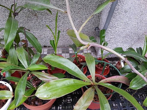 20170530_150324