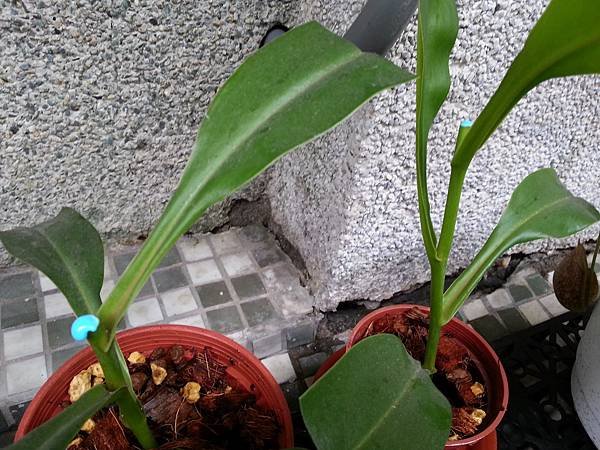 20170530_143422