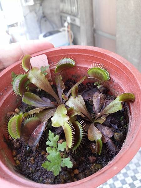 20170625_122010