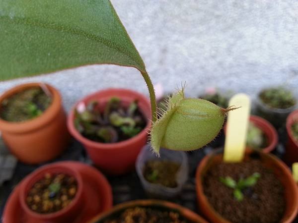 20170625_133752