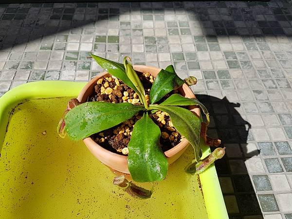 20181028_134005.jpg