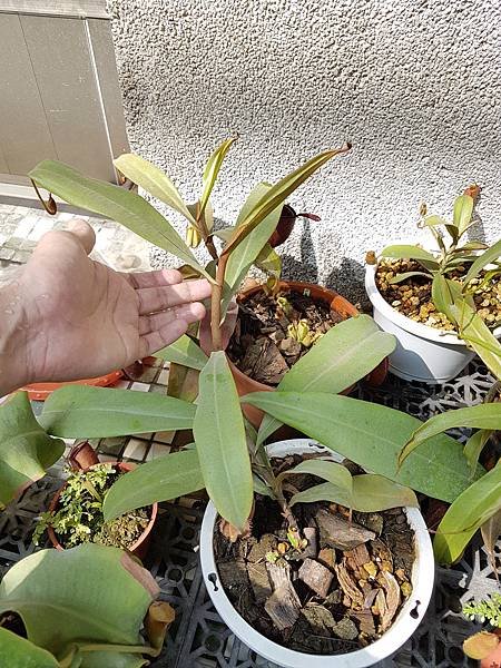 20181104_124442.jpg