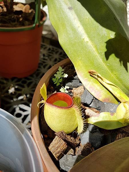 20181028_122033.jpg