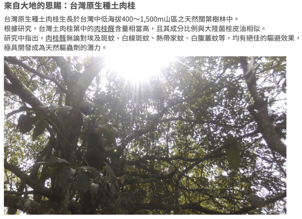 螢幕快照 2019-04-29 下午3.39.41.png