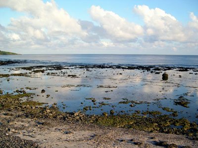龜彎海岸線.jpg
