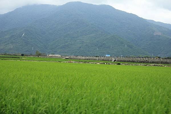 豪華美食圓夢環島五日遊 446 (1024x683).jpg