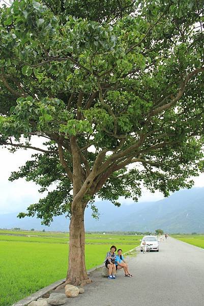 豪華美食圓夢環島五日遊 455 (683x1024).jpg