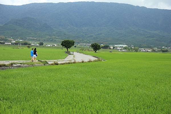 豪華美食圓夢環島五日遊 459 (1024x683).jpg