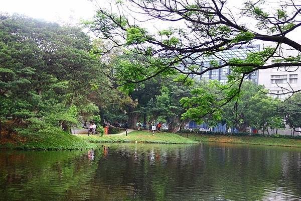 2014桃園油桐花開蘿莎會館 064 (800x533).jpg