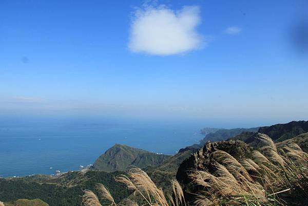 2015茶壺山芒花步道+和昇金礦餐旅會館 210 (1024x683).jpg