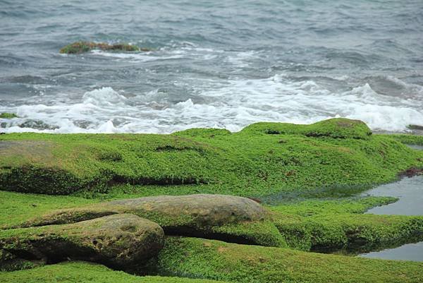 八煙泡湯+金山神秘海岸 097 (1024x683).jpg