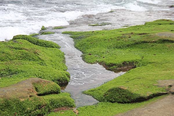 八煙泡湯+金山神秘海岸 105 (1024x683).jpg