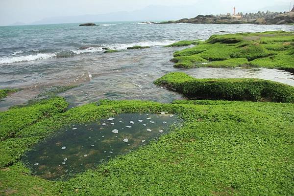 八煙泡湯+金山神秘海岸 113 (1024x683).jpg