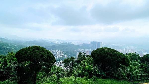 大IMG_0701.jpeg