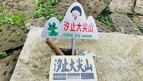 大IMG_0779.jpeg