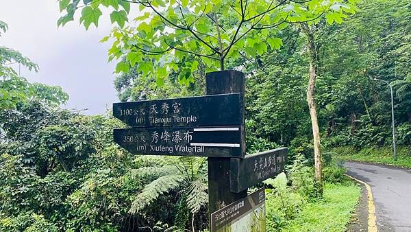 大IMG_0808.jpeg