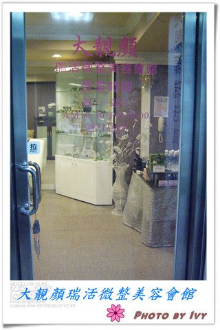 ivy-5.jpg