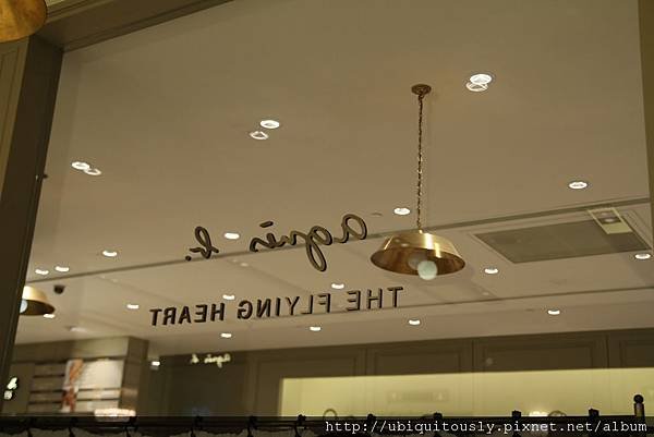 IMG_6573.JPG