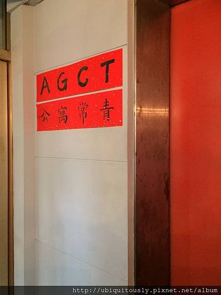 泰街頭&amp;ACGT&amp;逗鼎麻辣鍋 026.JPG