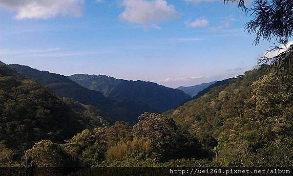 IMAG4439.jpg