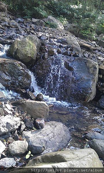 IMAG4455.jpg
