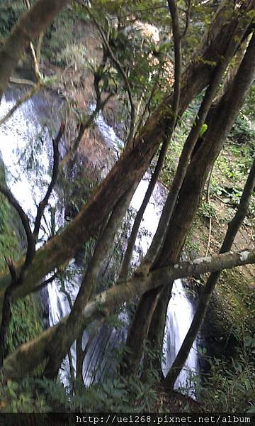 IMAG4518.jpg