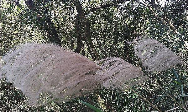 IMAG0578.jpg