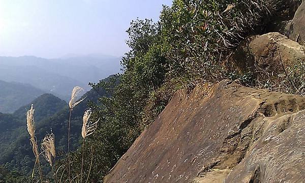 IMAG0535.jpg