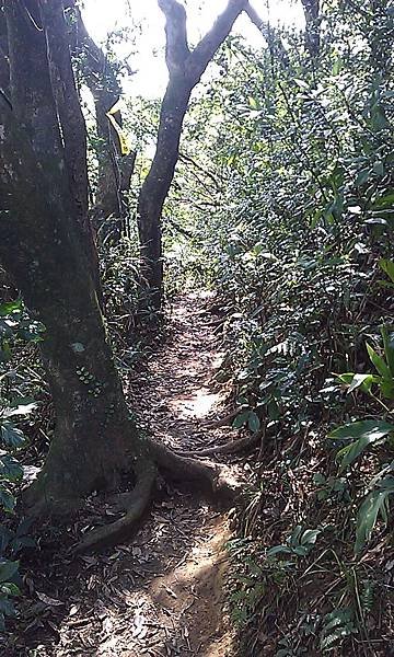 IMAG0580.jpg