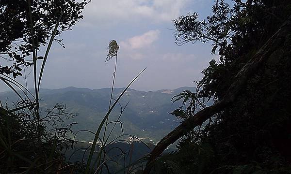 IMAG0522.jpg
