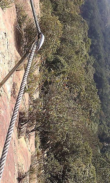 IMAG0511.jpg