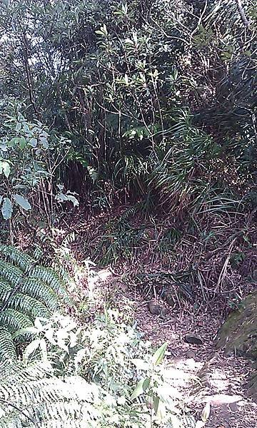 IMAG0514.jpg