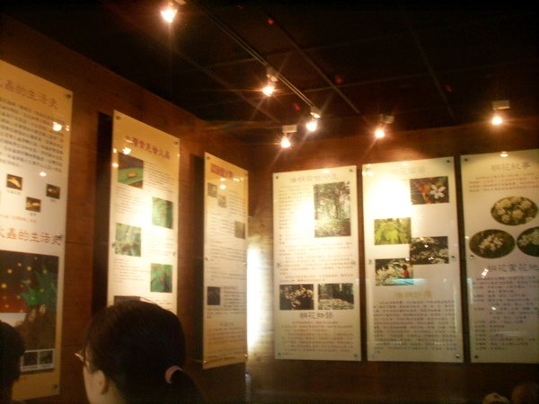 SSL17562.JPG