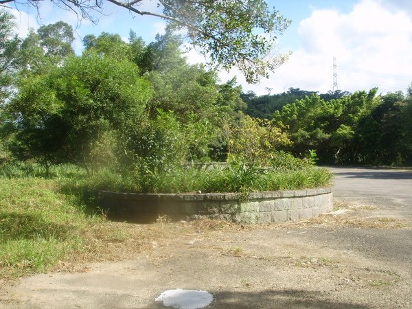 SSL17712.JPG
