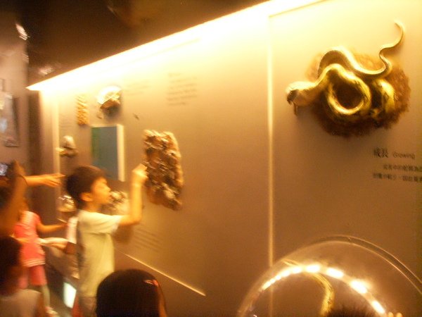SSL17973.JPG