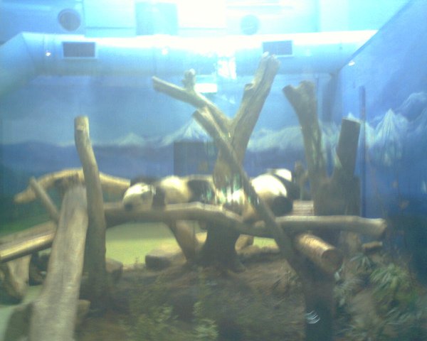 IMG0100A.jpg