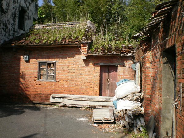 P9200029.JPG