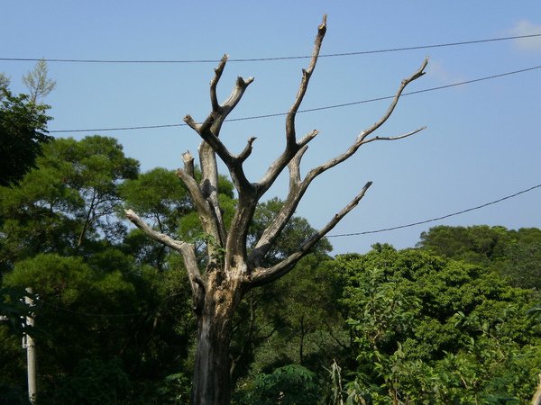 P9200042.JPG
