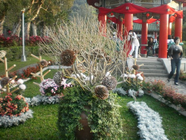 PC030244.JPG