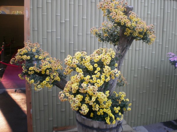 PC030155.JPG
