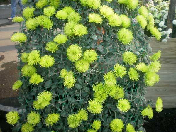 PC030158.JPG