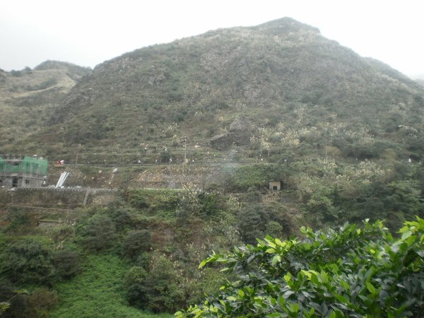 PC010163.JPG