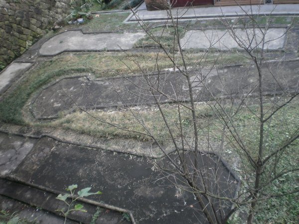 PC010174.JPG