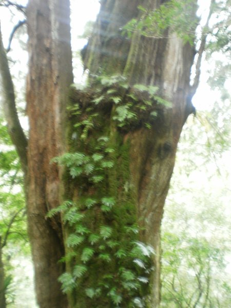 PA200554.JPG