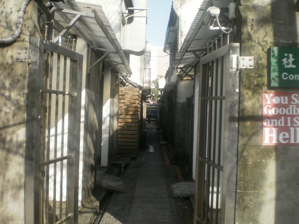 P2220201.JPG