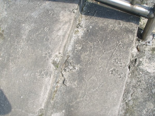 SSL18393.JPG