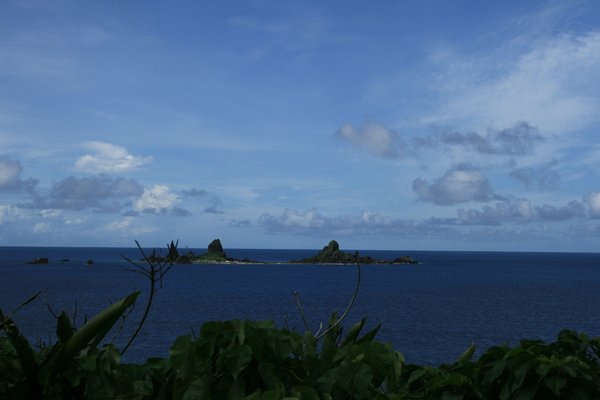 IMG_9739.jpg